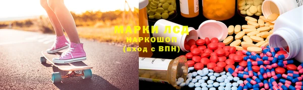 ешки Белокуриха
