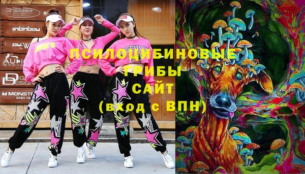 ешки Белокуриха