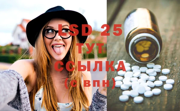 ешки Белокуриха