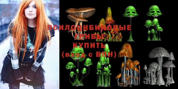 ешки Белокуриха