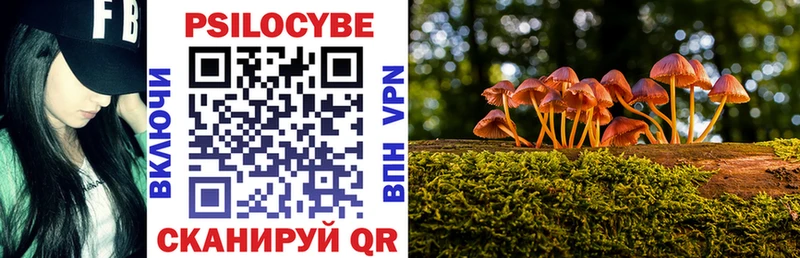 Галлюциногенные грибы Psilocybine cubensis  Балашиха 